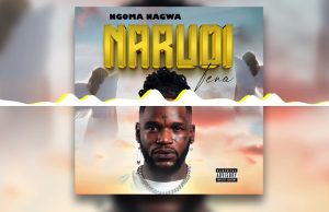 AUDIO | Ngoma Nagwa – Narudi Tena | Download MP3