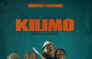 AUDIO | Ngoma nagwa – KILIMO | Download MP3