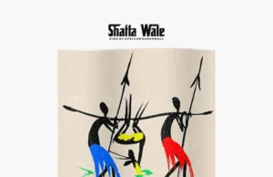 AUDIO | Shatta Wale – Bushmeat | Download MP3