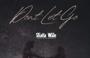 AUDIO | Shatta Wale – Dont Let Go | Download MP3