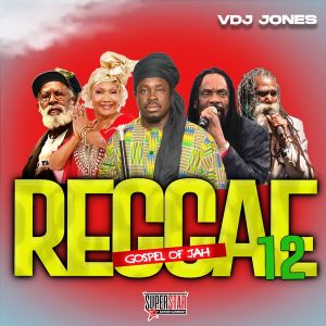 VDJ Jones   Reggae mix 12