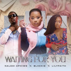 Naledi Aphiwe ft Blxckie & LilyFaith - Waiting For You
