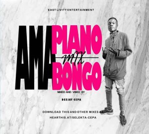 DJ CEPA - Amapiano Bongo mix
