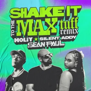 MOLIY ft Silent Addy  Sean Paul   Shake It To The Max Tuff Remix