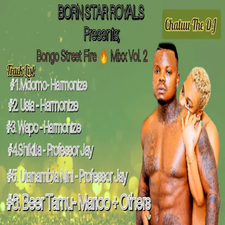 BONGO STREET FIRE Chatuu The Dj - Bongo Street Fire Mixx Vol 1