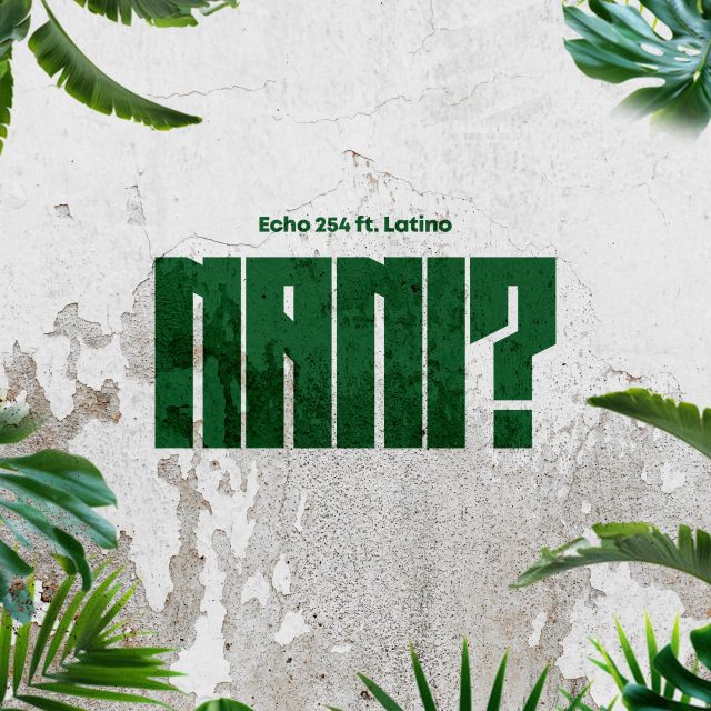 Echo 254 ft Latinoh - Nani