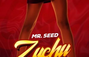 AUDIO | Mr Seed – Zuchu | Download MP3 Mr Seed - Zuchu