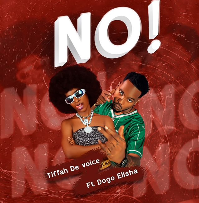 Tiffah devoice ft Dogo Elisha - NO