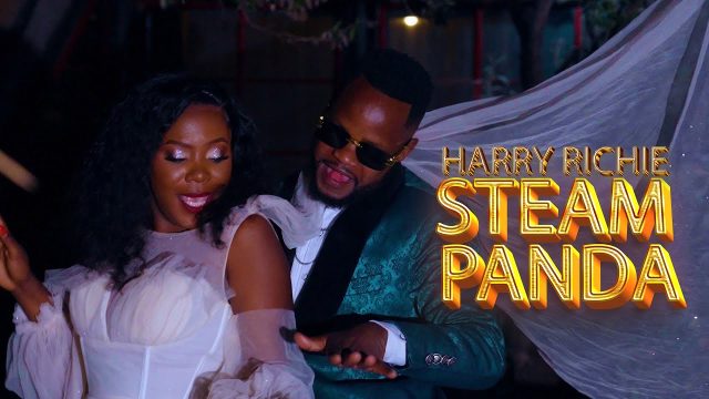 Harry Richie - STEAM PANDA