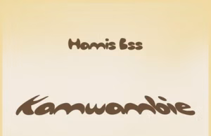 AUDIO | Hamis BSS – Kamwambie | Download MP3 Hamis BSS - Kamwambie